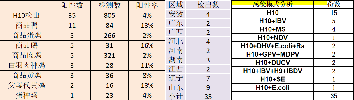圖片24.png