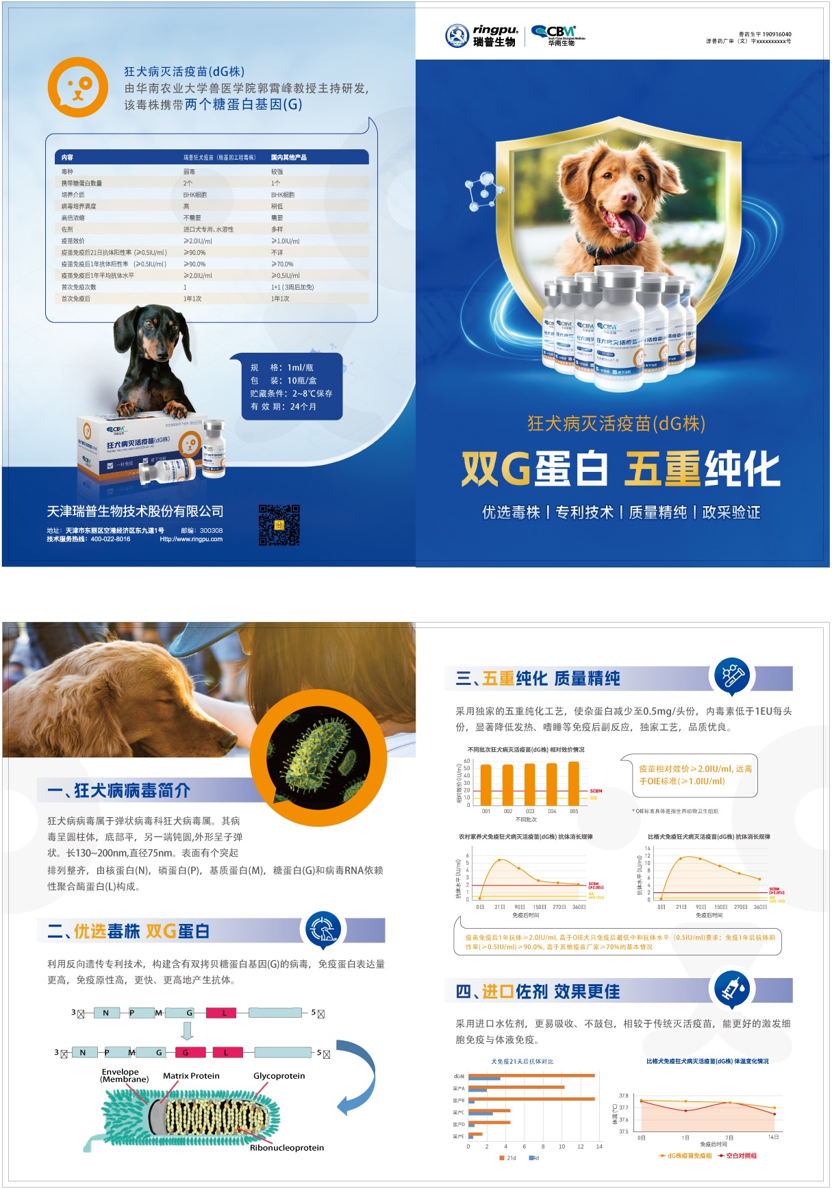 20241111犬泰三折頁A4-2.0(1).jpg