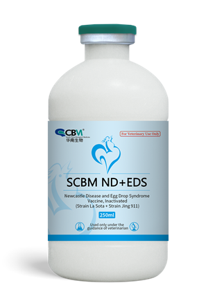 SCBM ND+EDS
